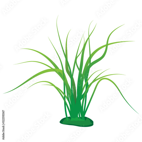 green grass vector design