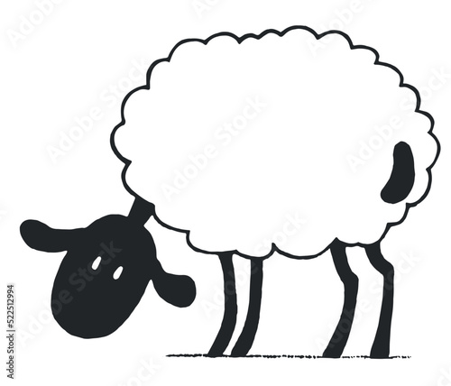 Sheep drawing