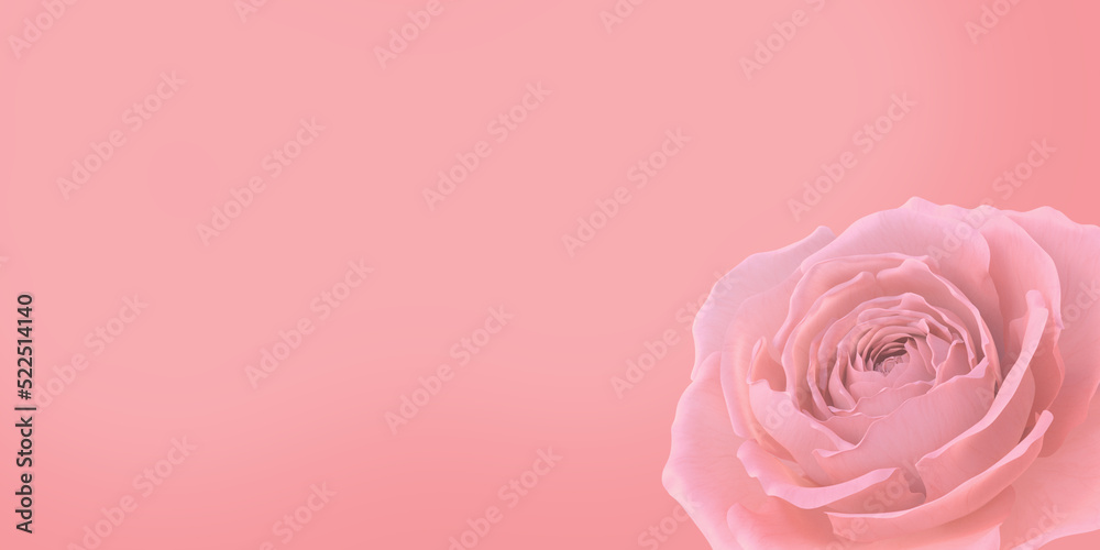 custom made wallpaper toronto digital3d rose on apink background.3drendering