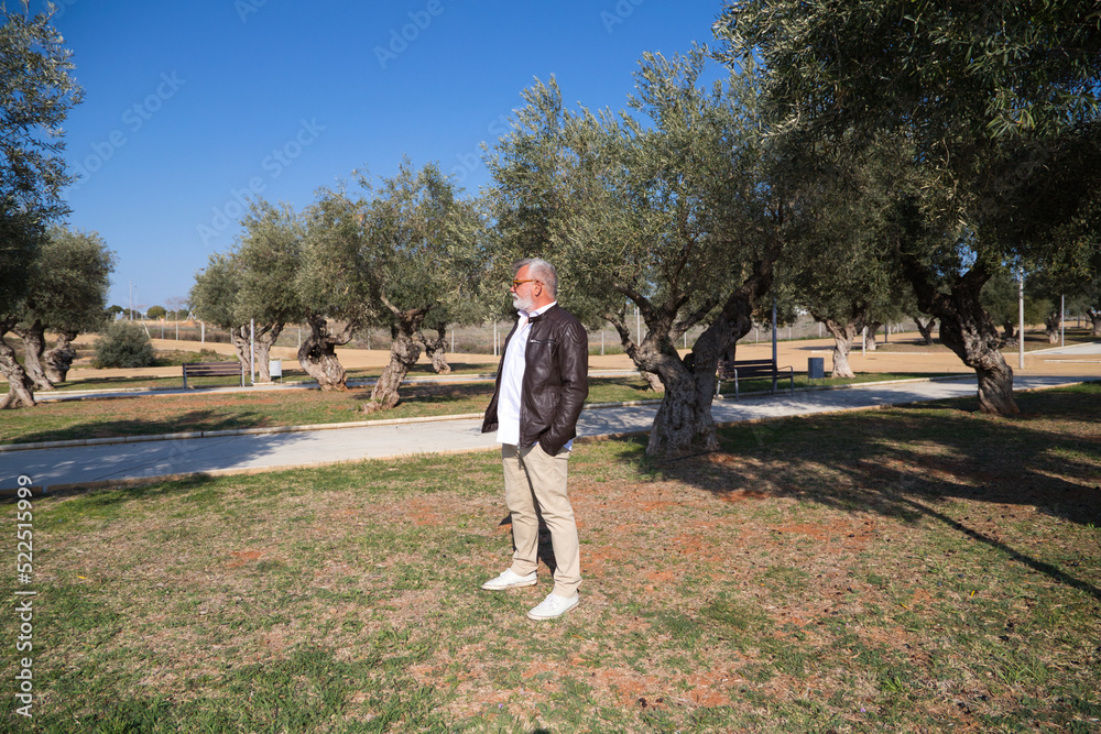 Fototapeta premium handsome mature man with beard and grey hair is walking in the park. The man is dressed in beige trousers, white shirt and leather jacket. Old age concept