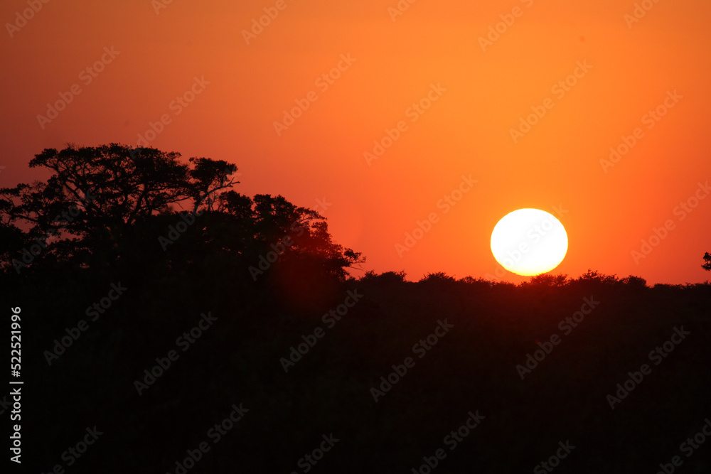 Sonnenaufgang - Krüger Park Südafrika / Sunrise - Kruger Park South Africa / Sonnenaufgang - Krüger Park Südafrika / Sunrise - Kruger Park South Africa /