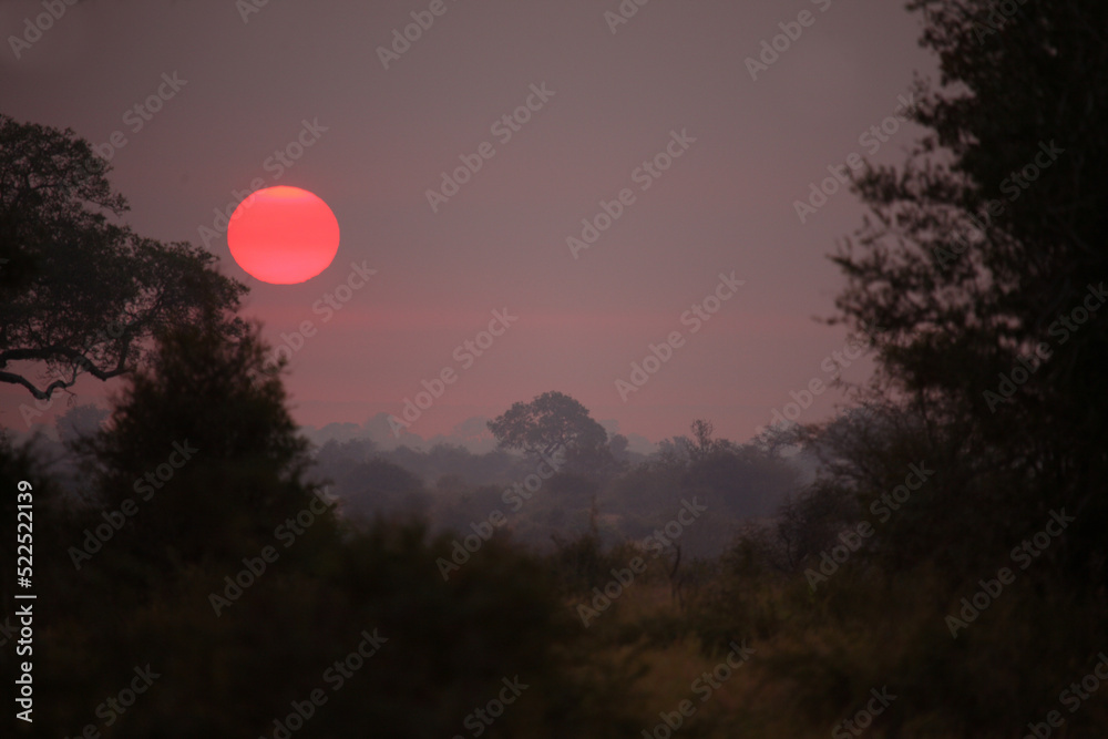 Sonnenaufgang - Krüger Park Südafrika / Sunrise - Kruger Park South Africa / Sonnenaufgang - Krüger Park Südafrika / Sunrise - Kruger Park South Africa /