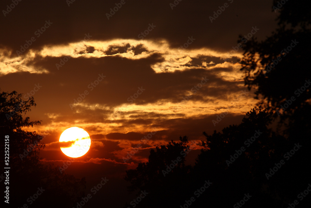 Sonnenaufgang - Krüger Park Südafrika / Sunrise - Kruger Park South Africa /