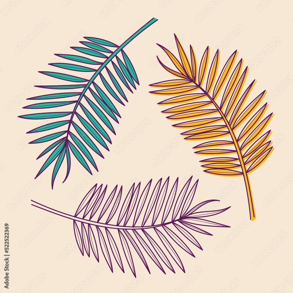 Set of three hand drawn tropical palm leaves, vector illustration for ...
