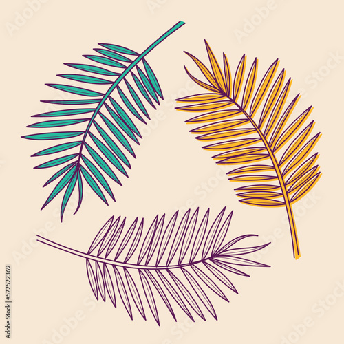 Set of three hand drawn tropical palm leaves, vector illustration for cards, wedding invitation and birthday cards
