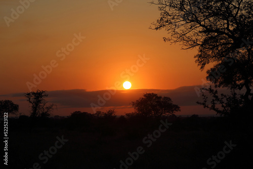 Sonnenaufgang - Kr  ger Park S  dafrika   Sunrise - Kruger Park South Africa  