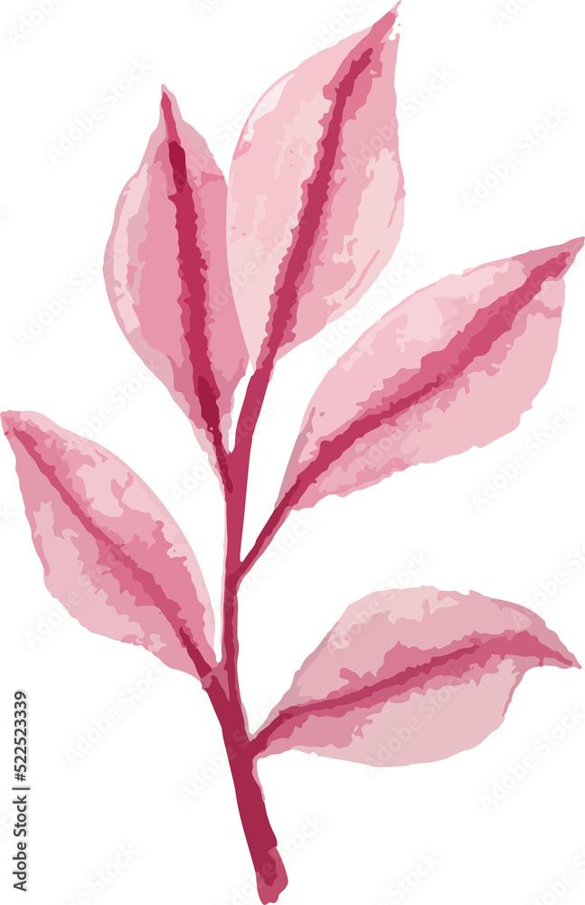 watercolor hand drawn floral design