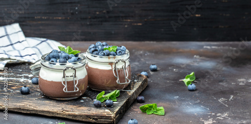Chocolate panna cotta with blueberries. Chocolate pudding and greek yogurt parfait. Long banner format