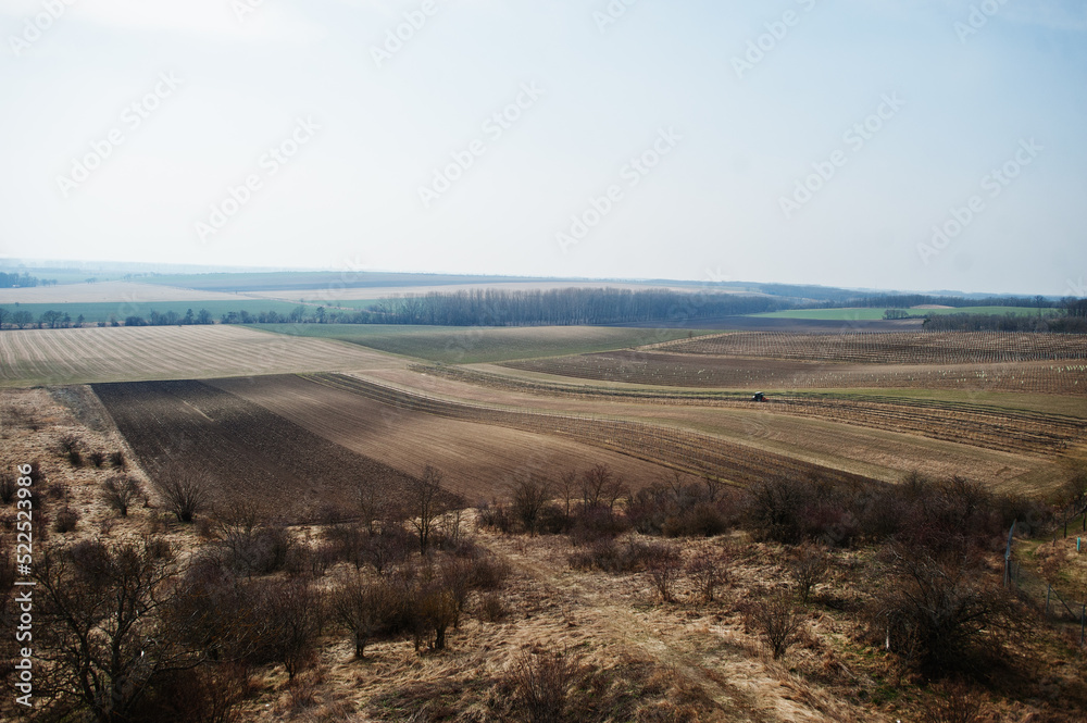 Fields with vineyards in early spring at South Moravia, Czech Republic.