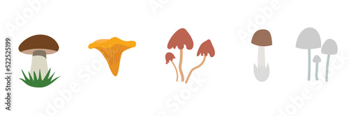 Cartoon mushrooms. Poisonous and edible mushroom, chanterelle, cep, amanita and truffle isolated vector illustration set. Forest wild mushrooms types. Organic porcini and chanterelle, poisonous fungus