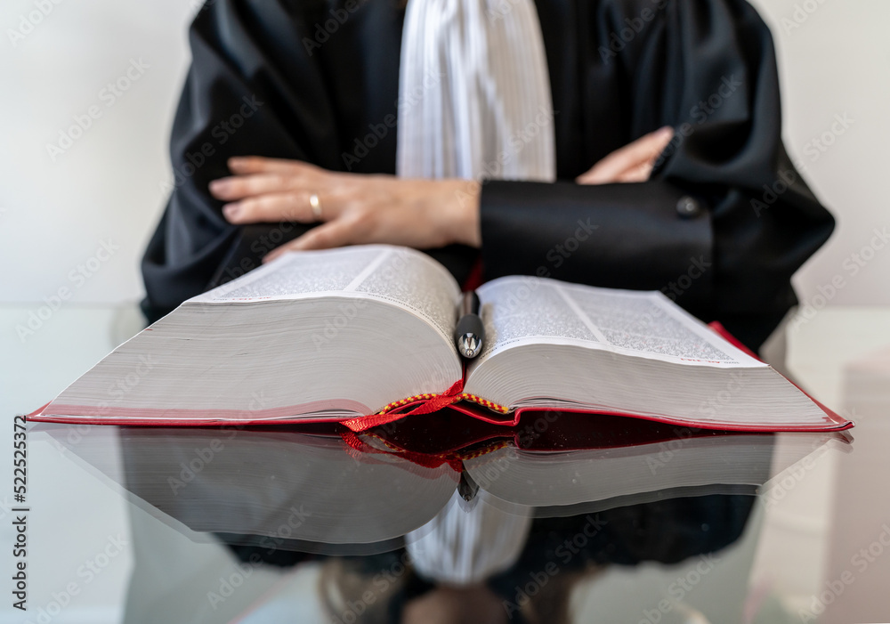 Female lawyer working with the red book of French laws Female lawyer working with the red book of French laws