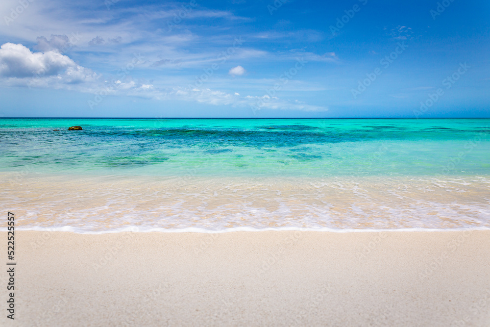 Idyllic and translucent caribbean beach at sunny day in Aruba