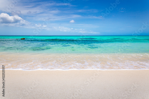 Idyllic and translucent caribbean beach at sunny day in Aruba