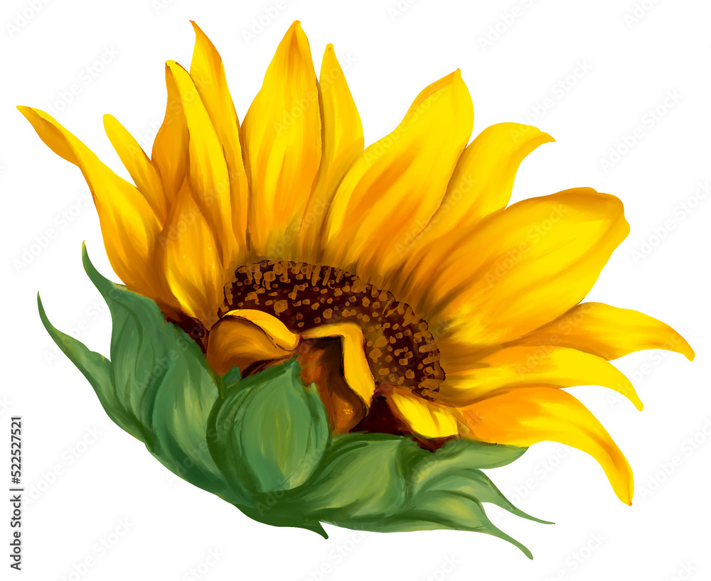Sunflower blossom art painting Stock Illustration | Adobe Stock