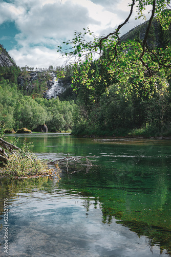 lake and forest