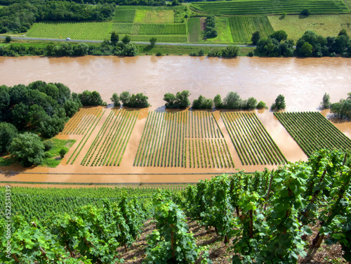 Mosel, Hochwasser, Weinbau
