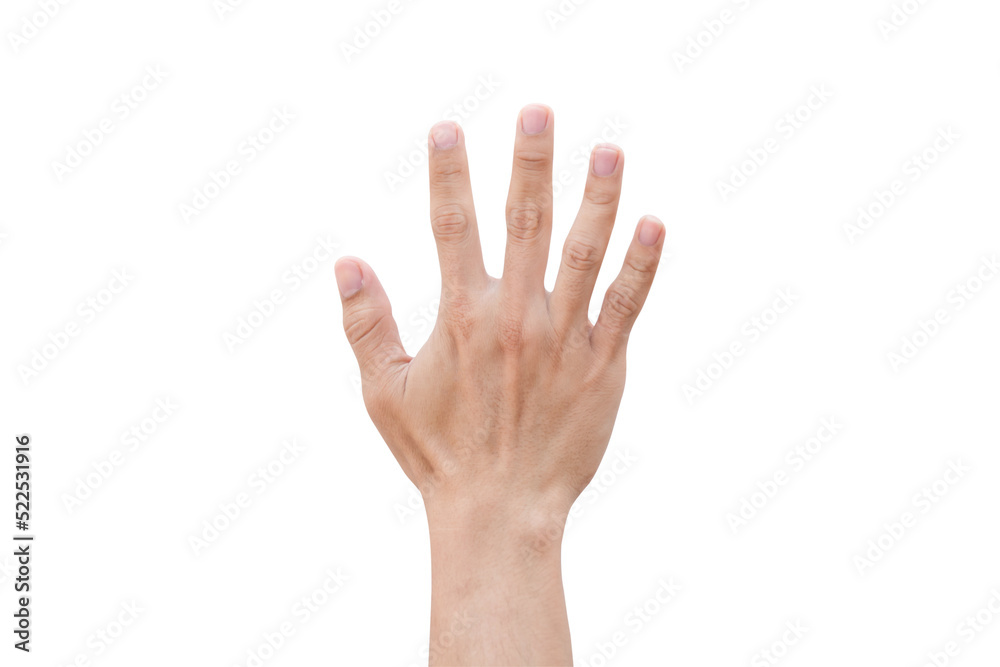 Man hand showing five count isolated on white background with clipping path Man hand showing five count isolated on white background with clipping path