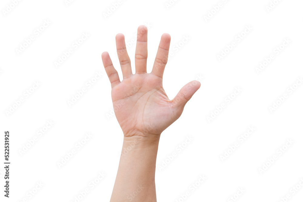 Man hand showing five count isolated on white background with clipping path Man hand showing five count isolated on white background with clipping path