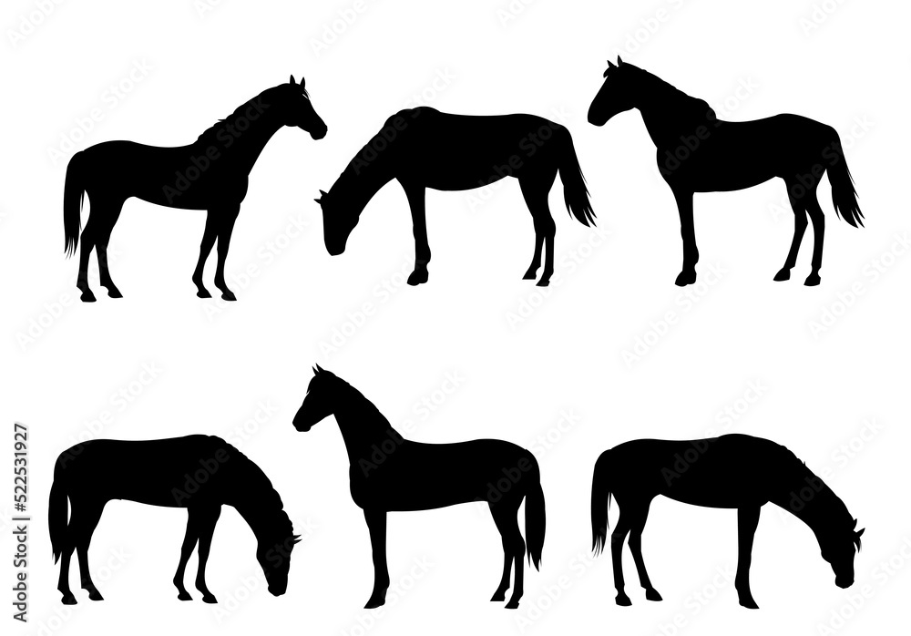 Fototapeta premium Set of Horses are grazing. Picture silhouette. Farm pets. Animals domestic traditional. Isolated on white background. Vector Goat with kid near the herd