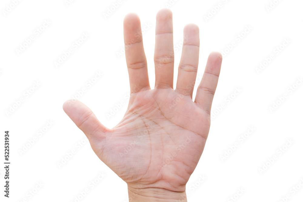 Man hand showing five count isolated on white background with clipping path Man hand showing five count isolated on white background with clipping path