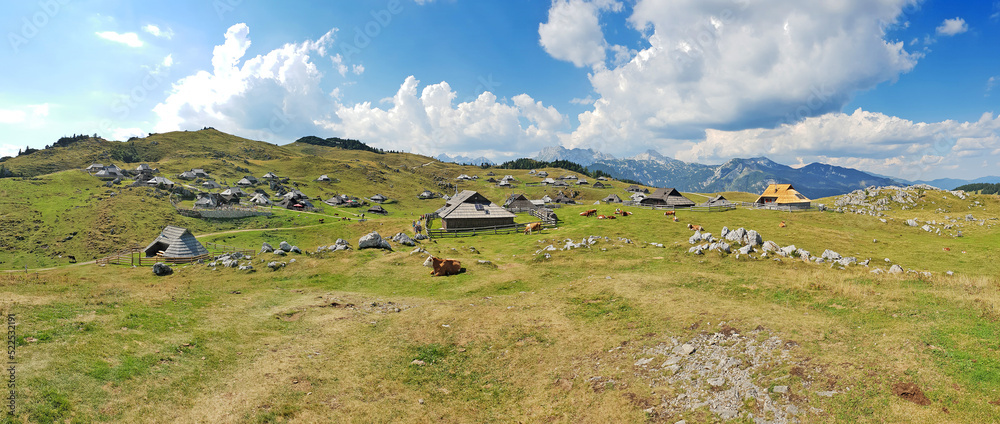 Herdsmens huts and cows on the Big Mountain Plateau in Slovenia in the Kamnik Savinja Alps