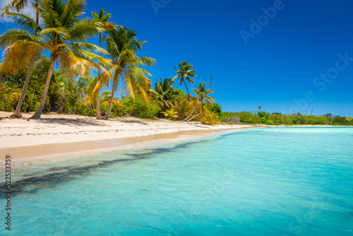 Tropical paradise  idyllic caribbean beach with palm trees  Punta Cana  Saona