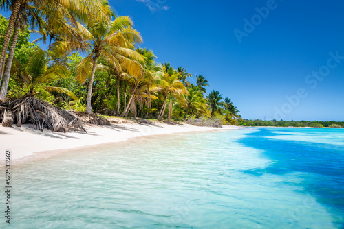 Canvas Print Tropical paradise: idyllic caribbean beach with palm trees, Punta Cana, Saona