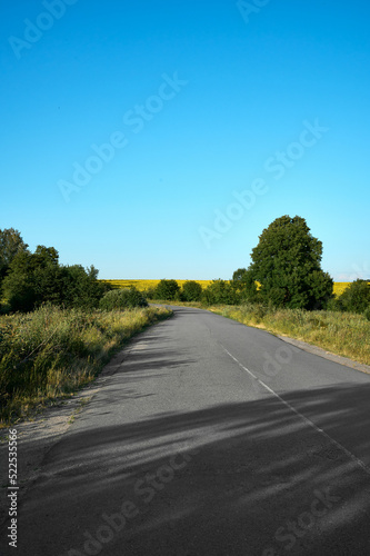 Road in the countryside in Ukraine.