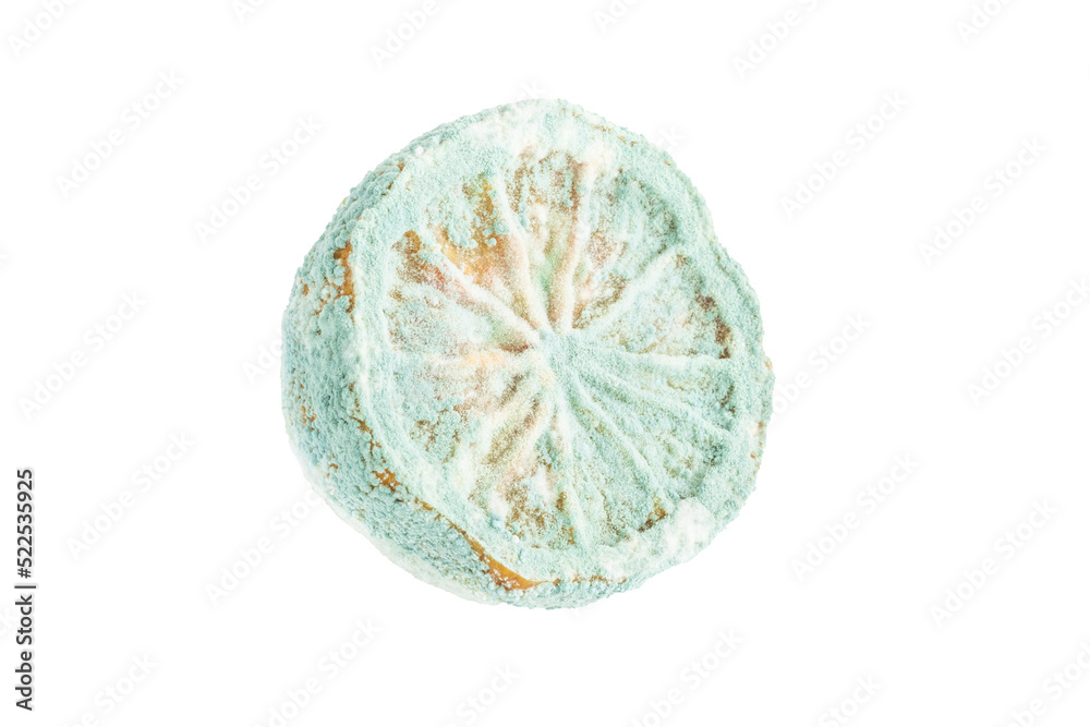 halved rotten lemon isolated on white halved rotten lemon isolated on white