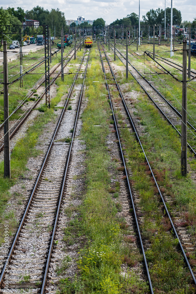 empty railroad tracks overgrown with grass. without carriages empty railroad tracks overgrown with grass. without carriages