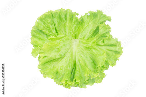 Salad leaf. Lettuce isolated on white background with clipping path.