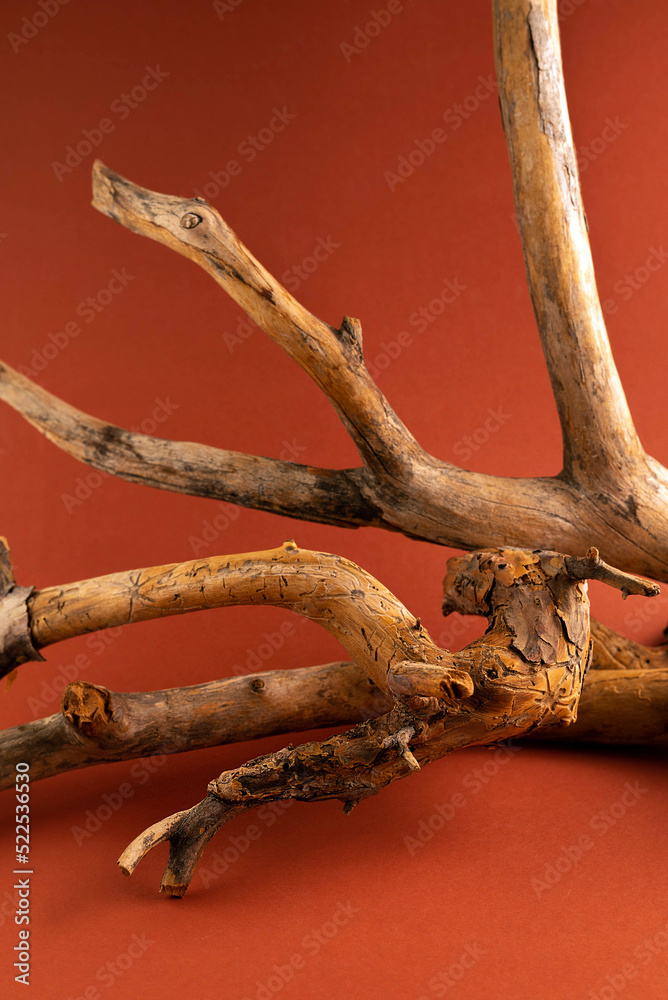 Fototapeta premium Dry branch of a tree of an unusual shape on a brown background.