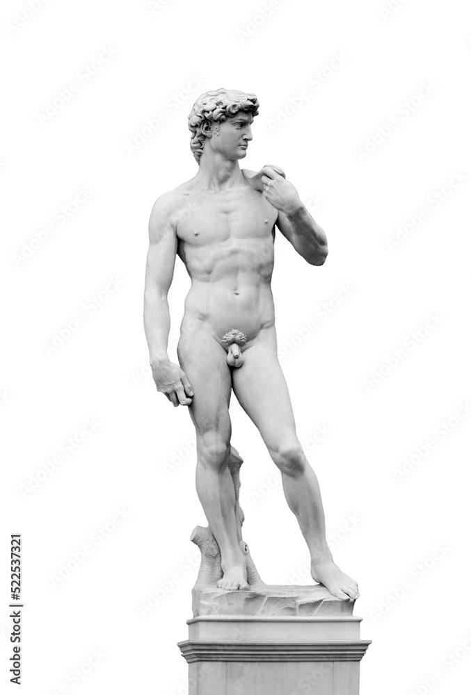 Davide di Michelangelo a Firenze Davide di Michelangelo a Firenze