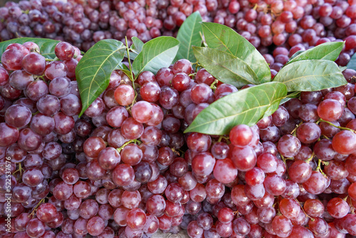 Sweet red grapes are sold in roadside fruit shops in Indonesia. This fruit is imported from abroad. This fruit has small seeds in it which when chewed are very bitter in taste.