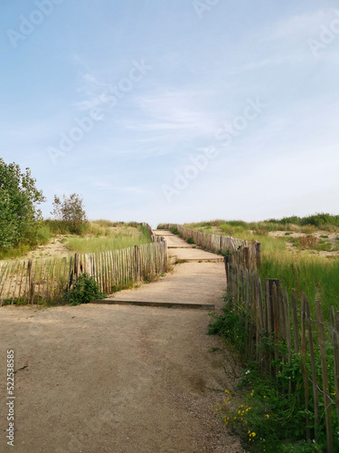 path to the beach