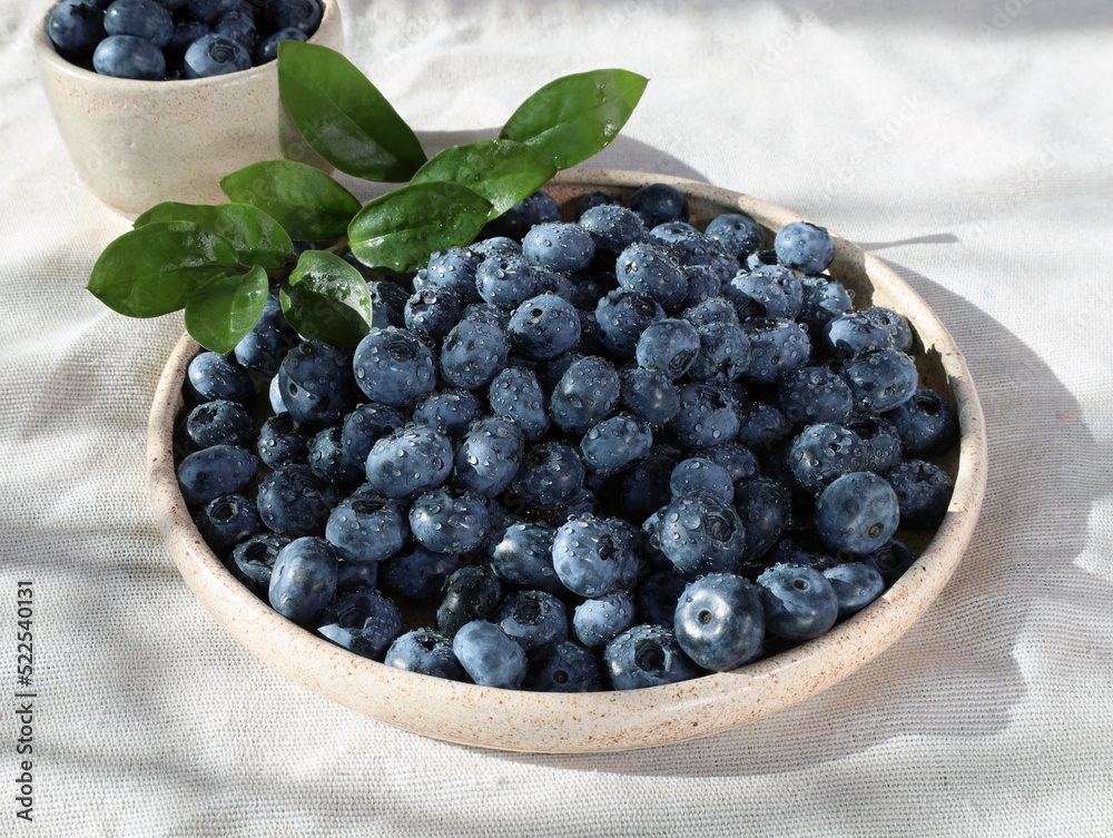 Blueberries on a plate, hard light. Fresh blueberries with water drops. Blue berries on a plate on the tablecloth. Blueberries on a plate, hard light. Fresh blueberries with water drops. Blue berries on a plate on the tablecloth.
