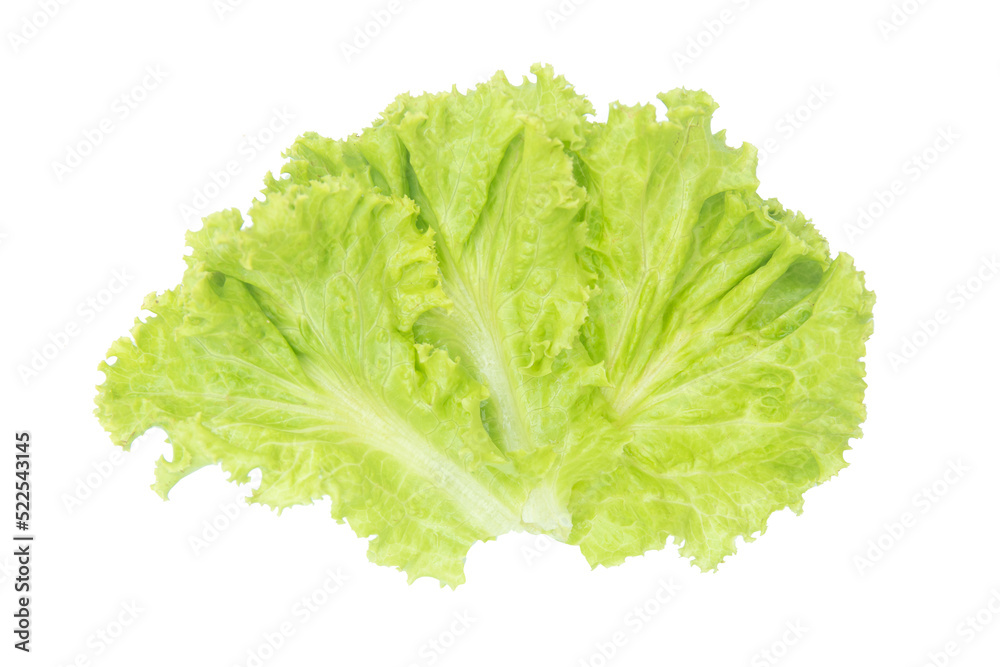 Salad leaf. Lettuce isolated on white background with clipping path. Salad leaf. Lettuce isolated on white background with clipping path.