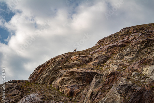 Trekking in the mountains, Giro del Confinale