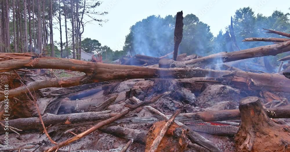 The forest is uprooted and burned during the development of land for construction, as well an environmental problem The forest is uprooted and burned during the development of land for construction, as well an environmental problem