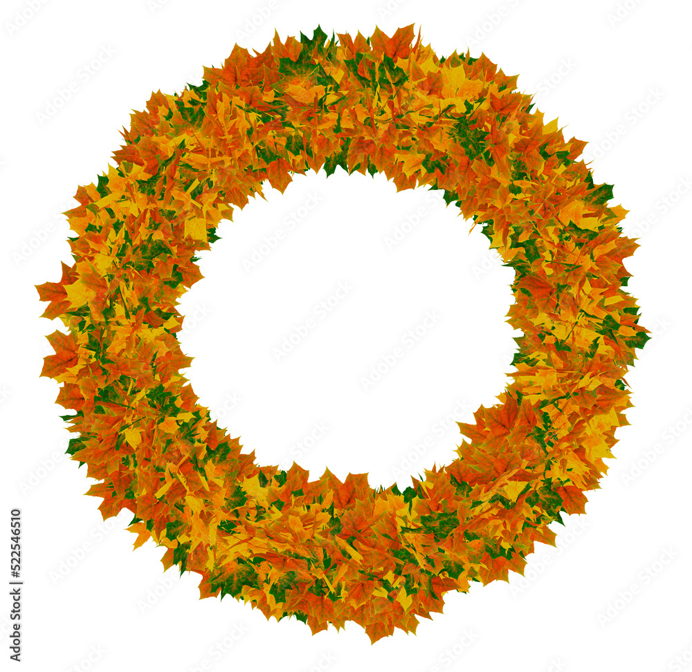 round autumn wreath of maple yellow, red, green leaves - obrazy, fototapety, plakaty 