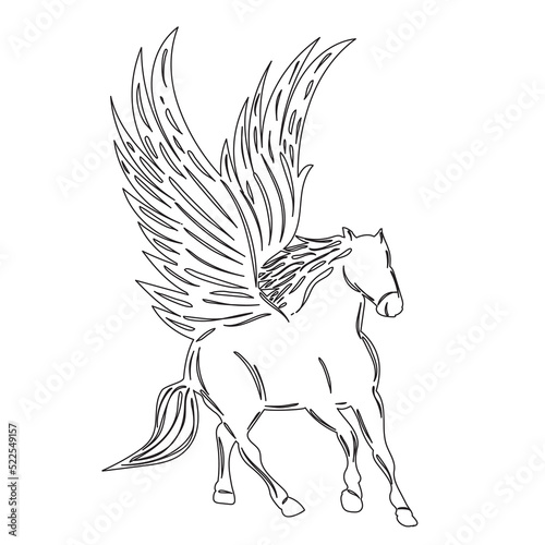 winged pegasus sketch on white background isolated, vector