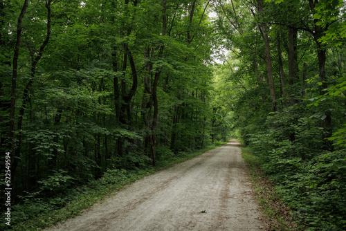 Obraz na płótnie Kal Haven Trail 