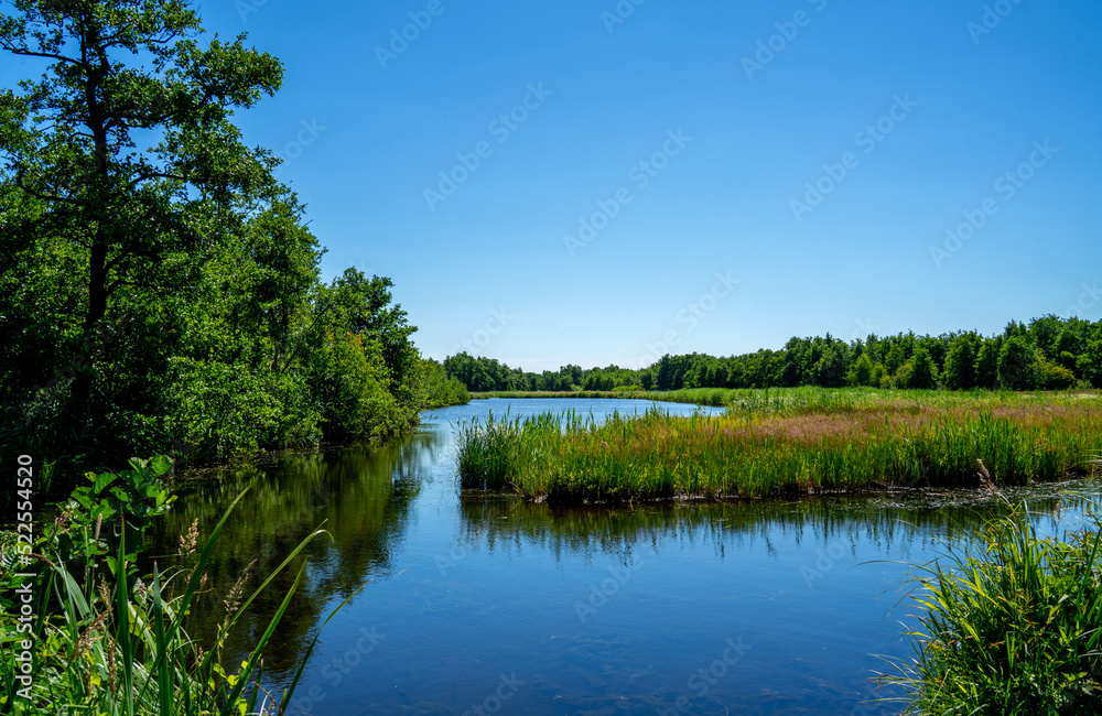 Large pool in a nature reserve in the Netherlands
