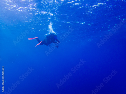 Diving in the Red Sea at Egypt