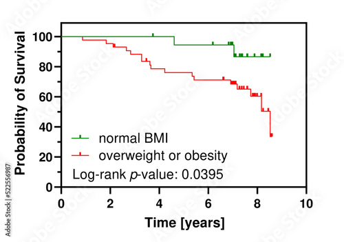 The Kaplan-Meier (KM) graph depicting survival in two groups of patients characterized by either normal or increased BMI. Results of statistical evaluation (log-rank test) of the model are depicted.