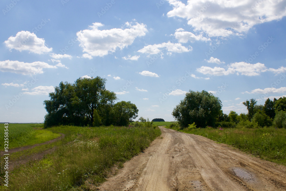 Straight dirt road in the countryside.