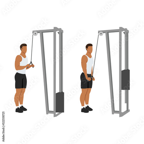 Man doing Triceps presdown  exercise. Flat vector illustration isolated on white background