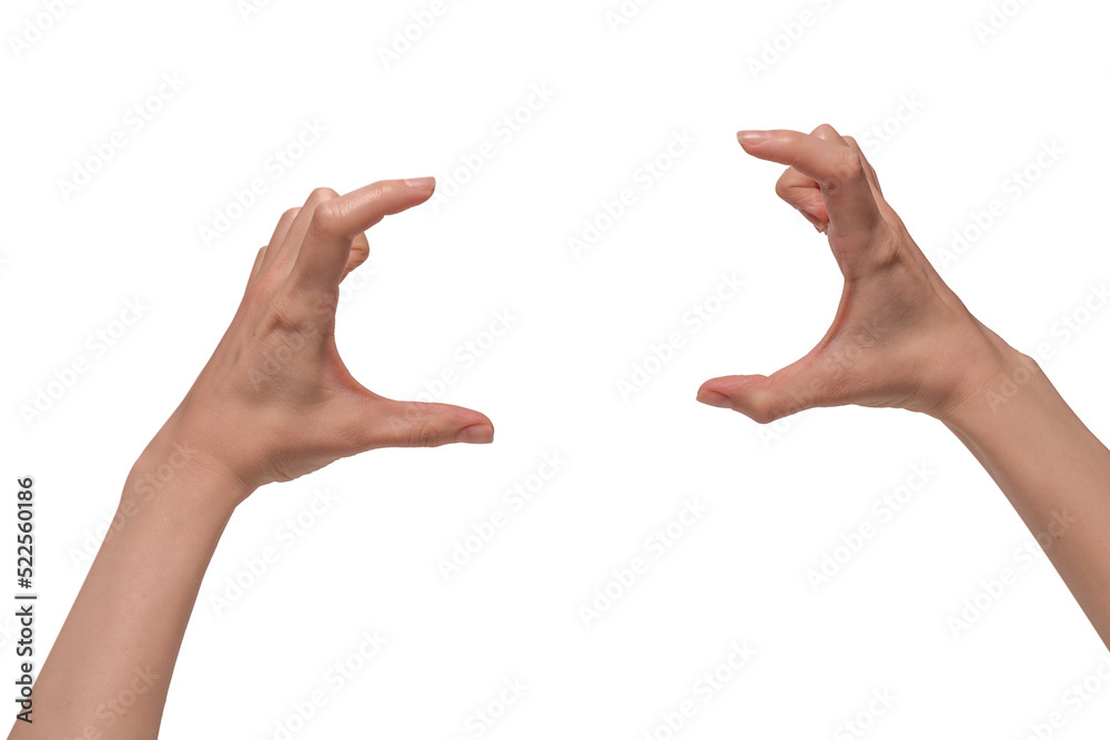 Woman hand isolated on a white background. Woman hand isolated on a white background.