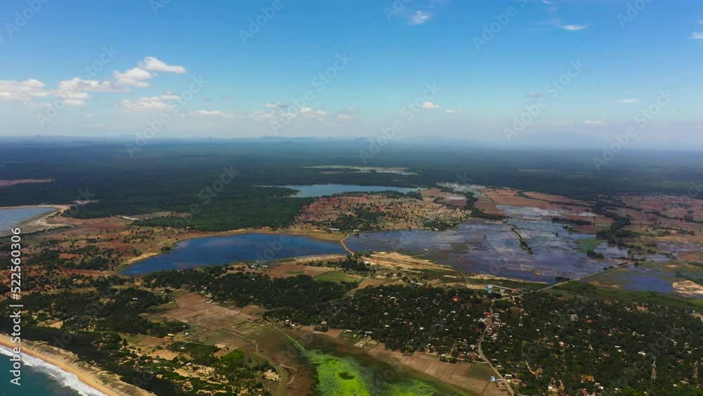 Agricultural plants among the jungle. Rural landscape. Sri Lanka. Agricultural plants among the jungle. Rural landscape. Sri Lanka.