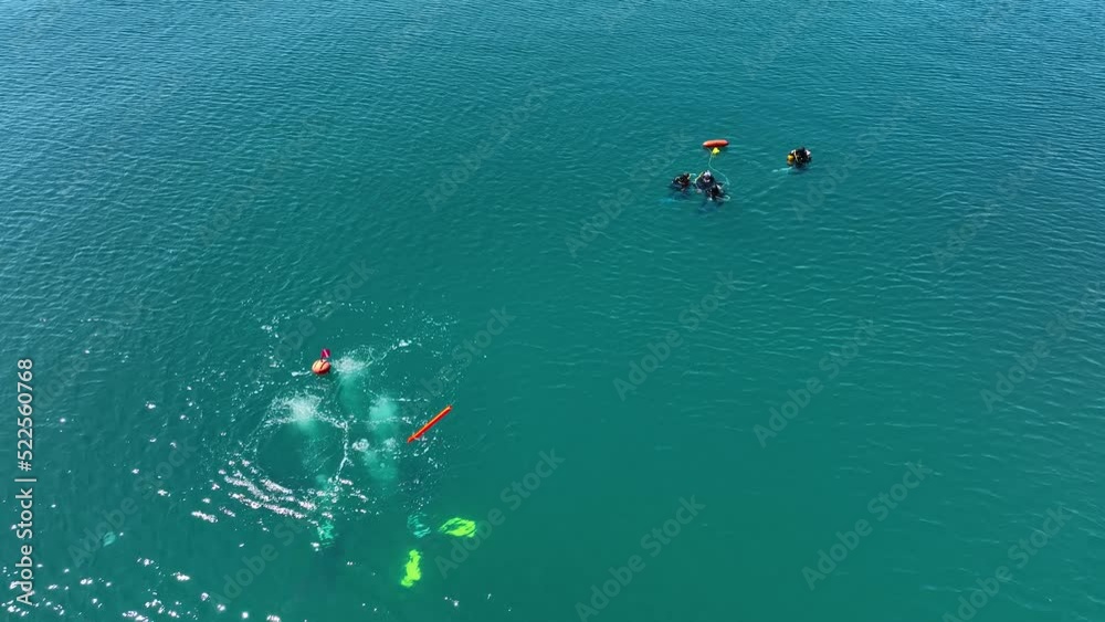 A group of divers surfaced. They swim with orange buoys in the open sea. 4K Drone shot from above A group of divers surfaced. They swim with orange buoys in the open sea. 4K Drone shot from above